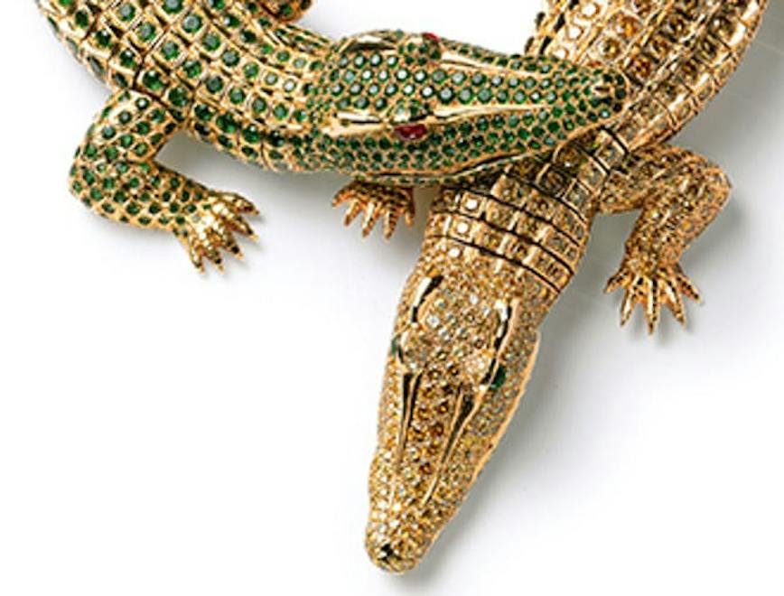 accessories accessory jewelry lizard animal reptile