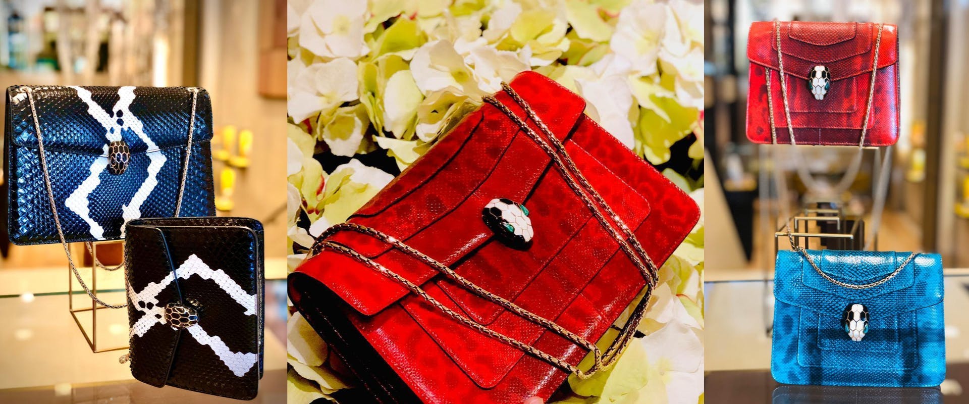 purse bag accessories handbag accessory plant