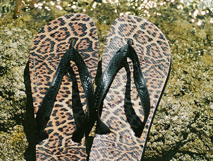 clothing apparel footwear snake animal reptile flip-flop