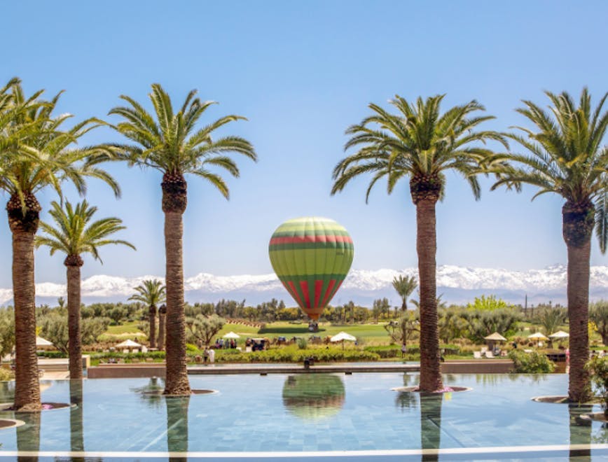 summer palm tree plant tree hotel resort outdoors pool balloon nature